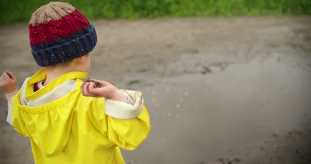 Boy throws rocks into puddle — Stock Video