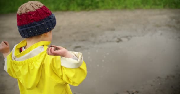 Pojke kastar stenar i pöl — Stockvideo