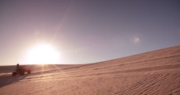 Motociclista cuádruple en un desierto — Vídeos de Stock
