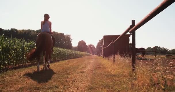 Adolescente chica cabalgando su caballo — Vídeo de stock