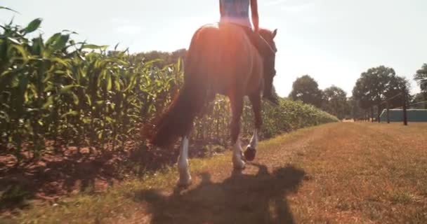 Flicka på en lummig grön gård rida hennes häst — Stockvideo