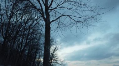 Önünde bir ağaç olan bulutlar geçiyor