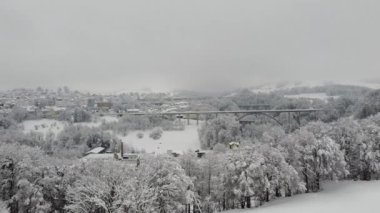 Sankt Gallen, İsviçre - 15 Ocak 2021: Orman karla kaplandı