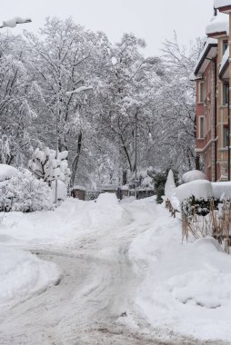 Buggen, Sankt Gallen, İsviçre - 15 Ocak 2021: St. Gallen 'de karla kaplı yollar