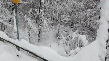 Abtwil, Sankt Gallen, İsviçre - 15 Ocak 2021: Kar köprüyü kapladı