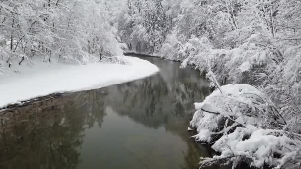 Χιονισμένο τοπίο με ήρεμο ποτάμι — Αρχείο Βίντεο