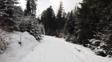 Karlı bir arazide, derin bir karla yürüyün.