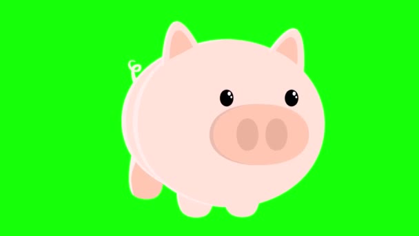 2d animation pig dancing on green screen chroma key — Stock Footage 2d animation pig dancing on green screen chroma key Stock Video