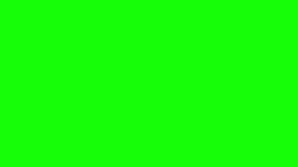 Social networks 4K Live animated heart 2D animation on green screen — Stock Video