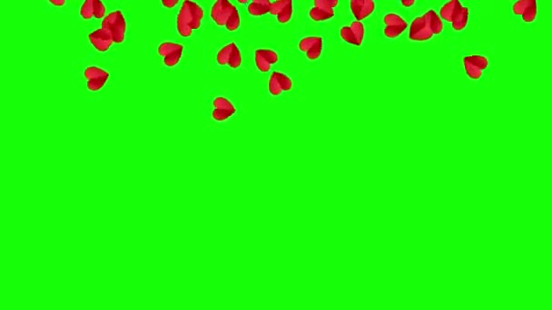 Kalpler yeşil ekranda yukarı doğru uçar. Şeffaf aşk, sevgililer günü romantik arka plan, gündoğumu animasyonu — Stok video