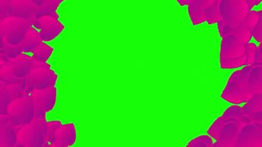 Video düzenleme için yeşil ekrandaki kalplerin geçişi. Sevgililer Günü video geçiş konsepti aşk ve düğün sezonu. Video için şablon