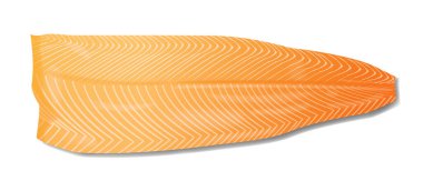 Somon balığı filetosu beyaz arka planda izole edilmiş gerçekçi vektör çizimi