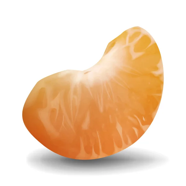 Potongan vektor mandarin yang realistis. Ilustrasi close-up dari tangerine diisolasi pada latar belakang putih - Stok Vektor