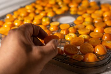 Kesilmiş altın çilekleri kurutmak için tepsiye koyuyoruz.