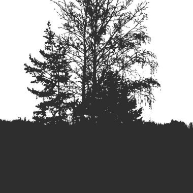 Amblem için orman dokusu ya da fotoğraf için kaplamalar. Siyah ve beyaz baskı