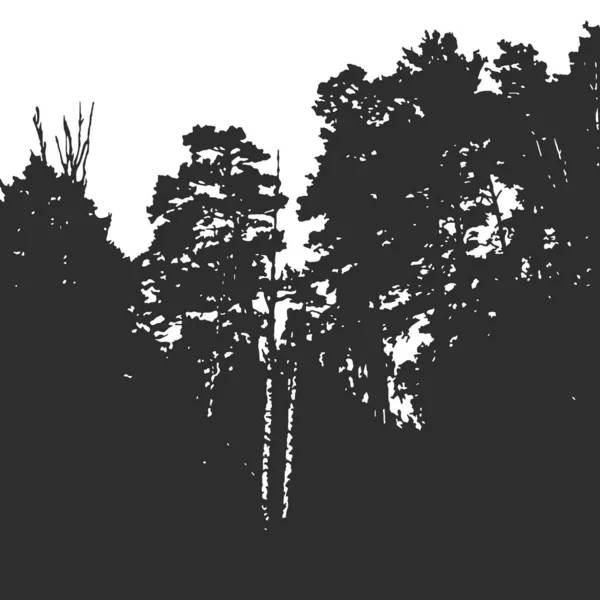 Τοιχογραφία Δάσους Τοίχου Για Φόντο Έμβλημα Επικαλύψεις Στη Φωτογραφία Ασπρόμαυρη — Διανυσματικό Αρχείο