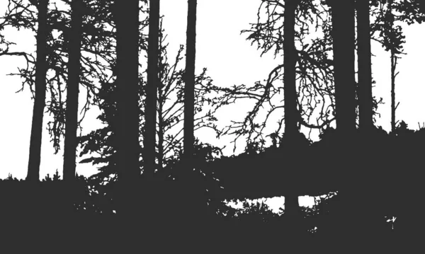Geçmişin Için Orman Dokusu Siyah Beyaz Baskı — Stok Vektör