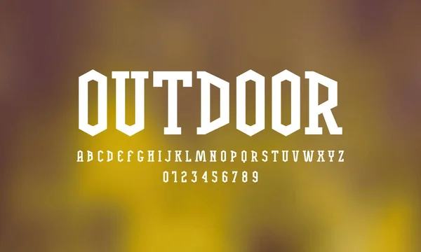 Decorative Serif Stick Font Bold Face Letters Numbers Logo Emblem — Stock Vector