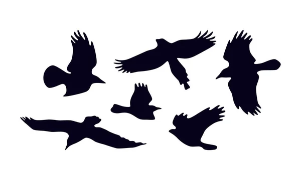 Stock Vektor Reihe Von Höhenflügen Vögel Silhouetten Für Logo Und — Stockvektor