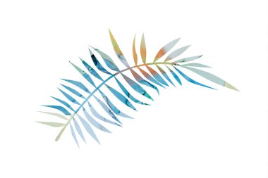 Soyut el boyalı alkol mürekkep desenli palmiye yaprağı silueti. Beyaz arka planda izole edilmiş. Desen ve arkaplan tasarımı için resim