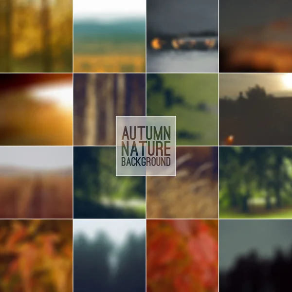 Set of blurred backgrounds landscape — Stock Vector