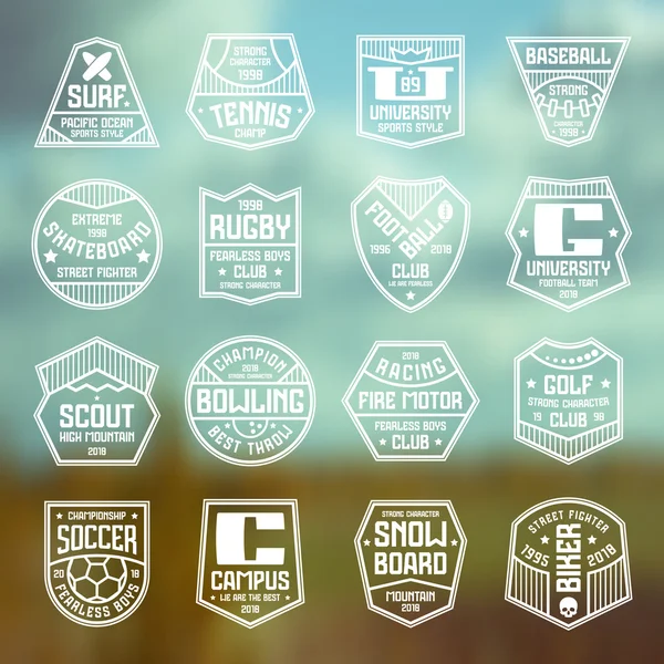 Conjunto de insignias deportivas — Vector de stock