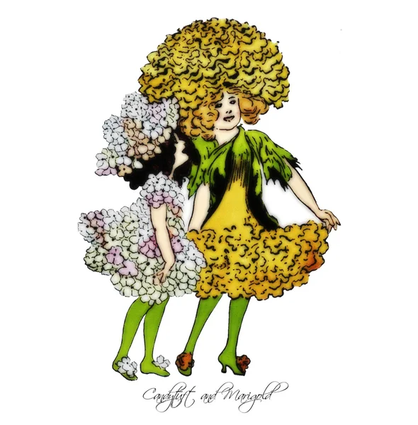Flor Crianças Candytuft e Marigold — Vetor de Stock