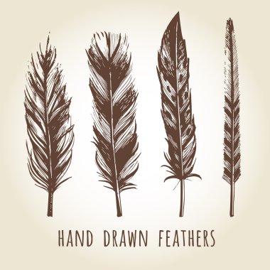 çizilmiş tüyler kümesi