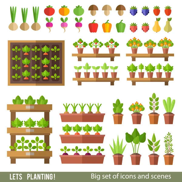 Conjunto de plantas e cenas. Jardim. — Vetor de Stock