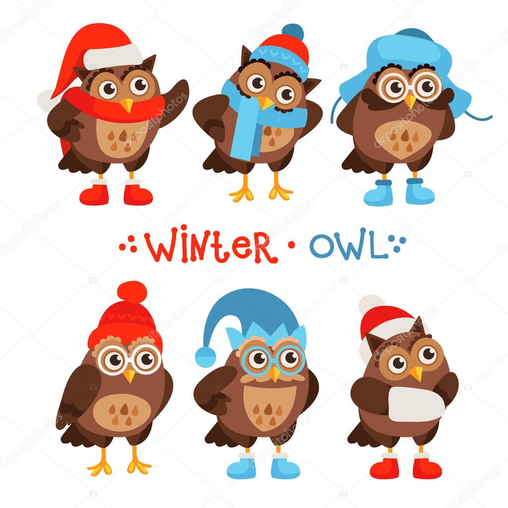 Vector set of characters owls in a cartoon style.