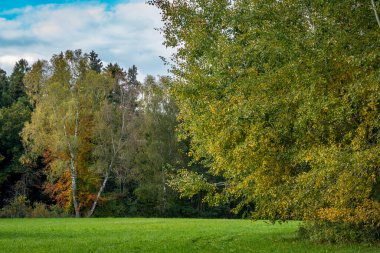 Yukarı Bataklık Almanya 'sında Schrecksee Doğa Koruma Alanı' nda muhteşem bir yürüyüş.