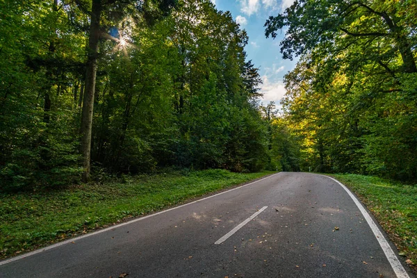 Batı Almanya 'da yaprakları olan sonbahar ormanlarında boş bir yol.