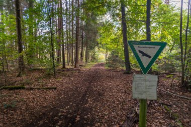 Yukarı Bataklık Almanya 'sında Schrecksee Doğa Koruma Alanı' nda muhteşem bir yürüyüş.