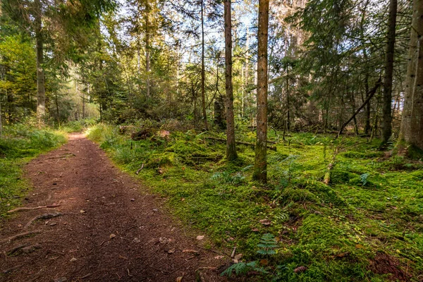 Fantástica Caminata Reserva Natural Schrecksee Alta Suabia Alemania — Foto de Stock