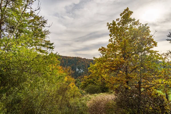 Fantastica Escursione Autunnale Nella Splendida Valle Del Danubio Presso Monastero — Foto Stock