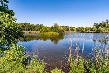 Constance Gölü yakınlarındaki Klosterweiher Weg 'de güzel bir yürüyüş.