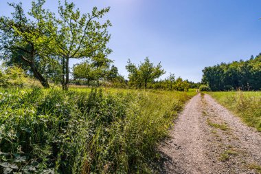 Constance Gölü yakınlarındaki Klosterweiher Weg 'de güzel bir yürüyüş.