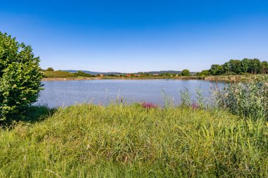 Constance Gölü yakınlarındaki Klosterweiher Weg 'de güzel bir yürüyüş.