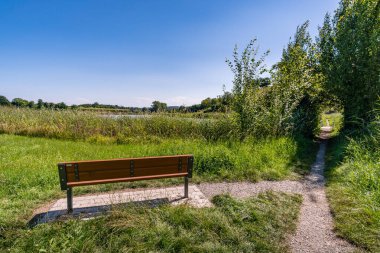 Constance Gölü yakınlarındaki Klosterweiher Weg 'de güzel bir yürüyüş.