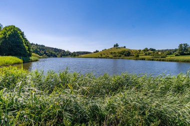 Constance Gölü yakınlarındaki Klosterweiher Weg 'de güzel bir yürüyüş.