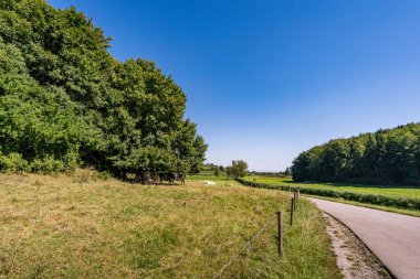 Constance Gölü yakınlarındaki Klosterweiher Weg 'de güzel bir yürüyüş.