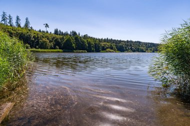 Constance Gölü yakınlarındaki Klosterweiher Weg 'de güzel bir yürüyüş.