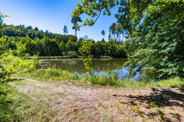 Constance Gölü yakınlarındaki Klosterweiher Weg 'de güzel bir yürüyüş.