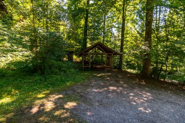 Constance Gölü yakınlarındaki Klosterweiher Weg 'de güzel bir yürüyüş.