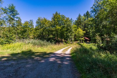 Constance Gölü yakınlarındaki Klosterweiher Weg 'de güzel bir yürüyüş.