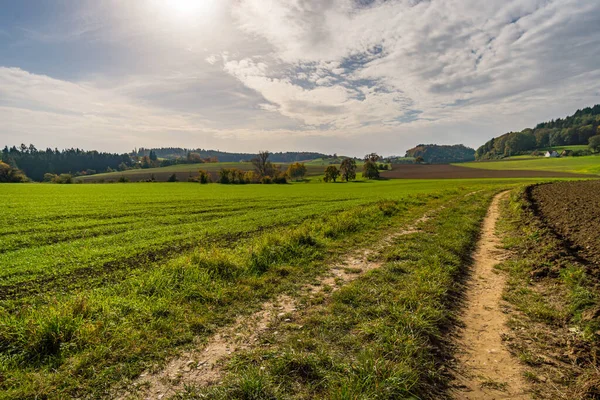 Fantastische Herfstwandeling Langs Aachtobel Naar Hohenbodman Observatietoren Bij Het Bodenmeer — Stockfoto