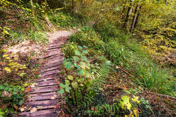 Fantástica Caminata Otoñal Largo Del Aachtobel Hasta Torre Observación Hohenbodman — Foto de Stock