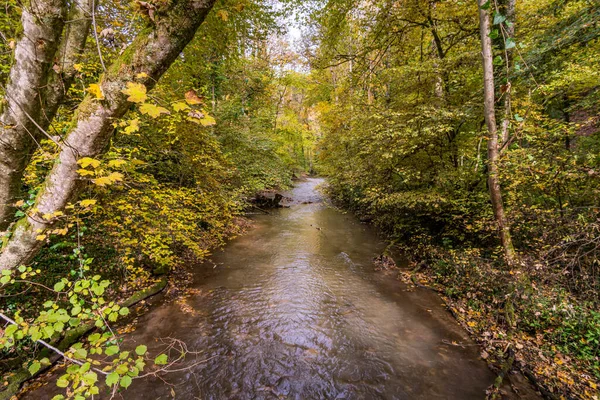 Fantastic Autumn Hike Aachtobel Hohenbodman Observation Tower Lake Constance — Stock Photo, Image