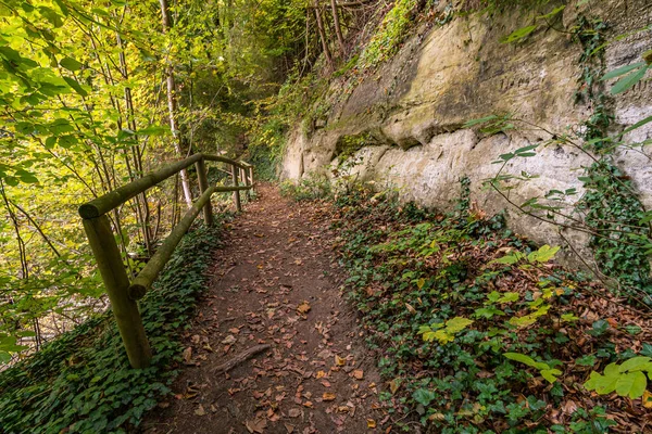 Fantastique Randonnée Automnale Long Aachtobel Jusqu Tour Observation Hohenbodman Près — Photo