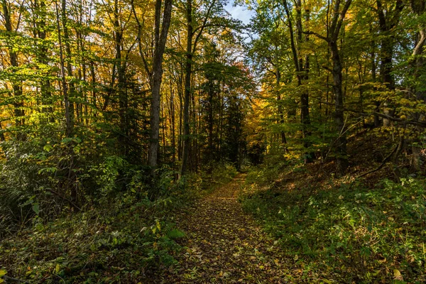 Wonderful Autumn Hike Koenigseggsee Koenigseggwald Upper Swabia — Stock Photo, Image